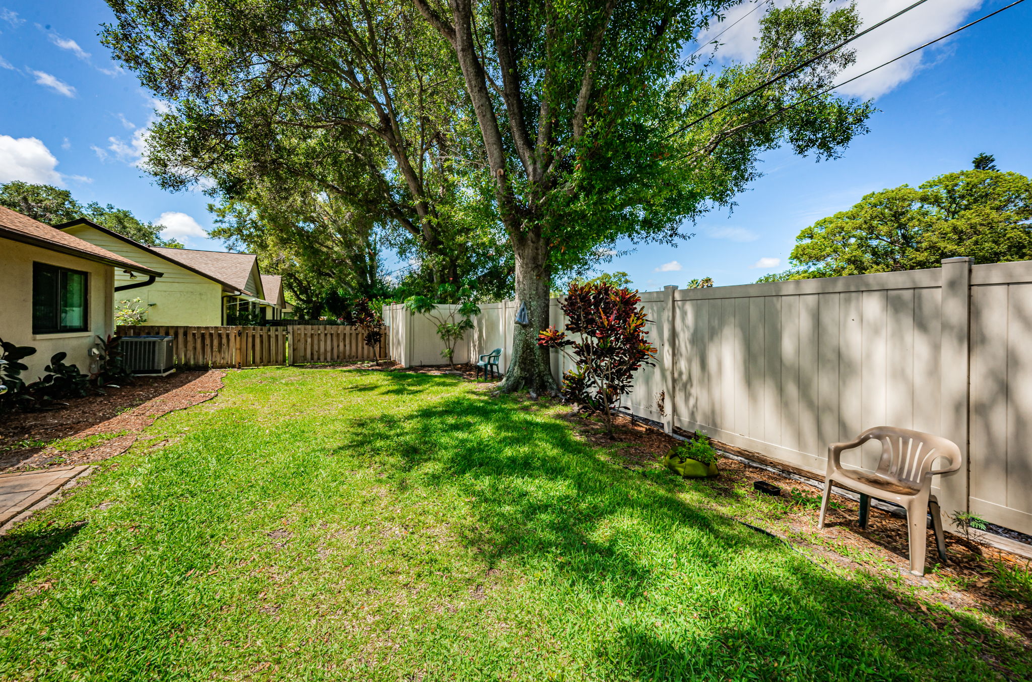 Backyard3