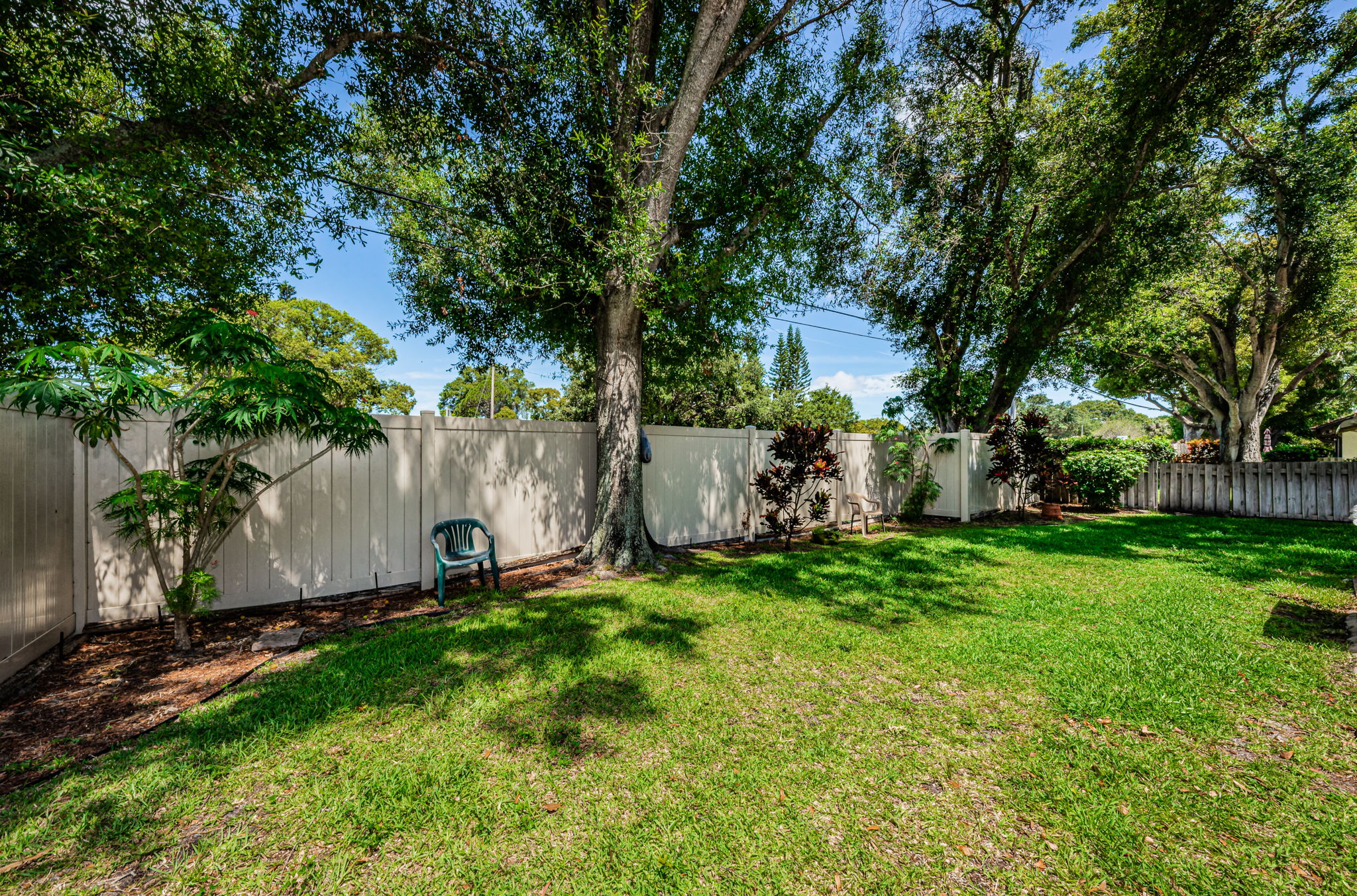 Backyard4