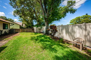 Backyard3