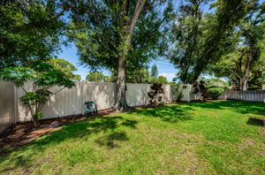 Backyard4