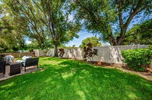 Backyard1