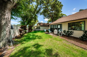 Backyard5