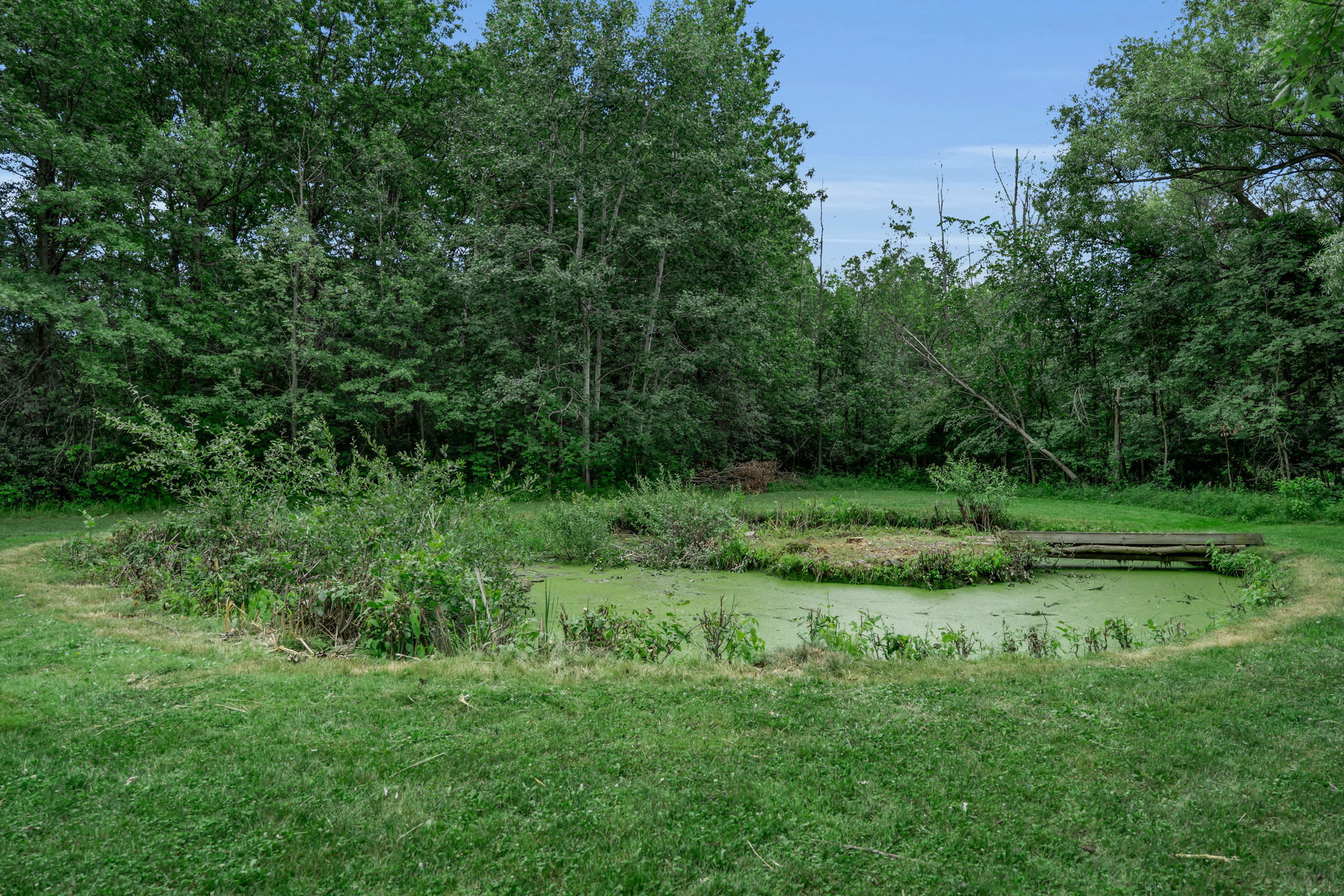  Photo 40