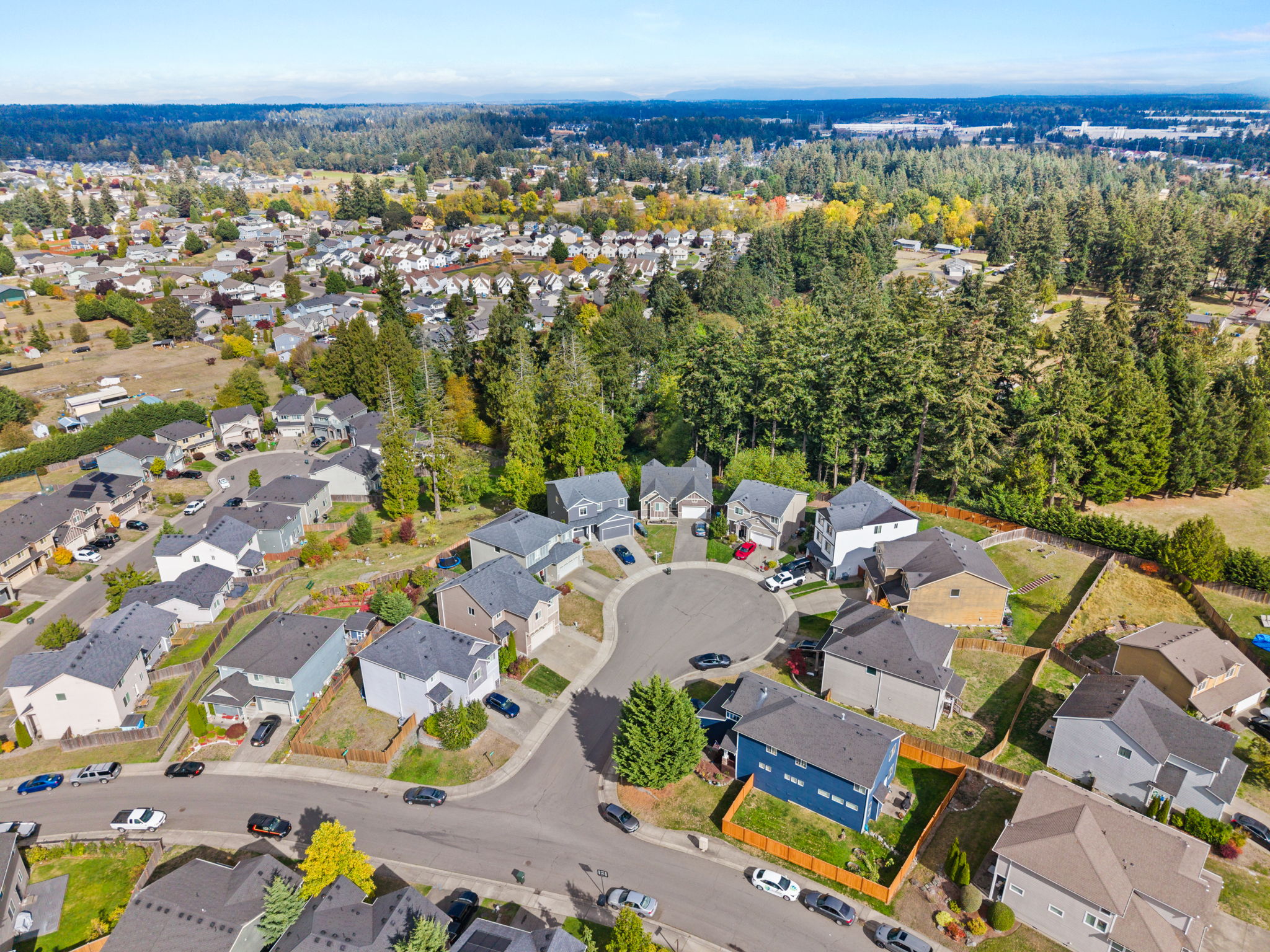 Neighborhood aerial showcasing the community.