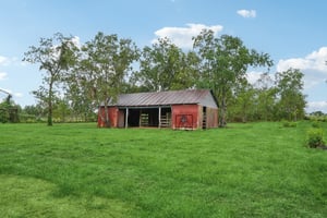 Calder Dr D-L0409-057.jpg