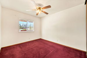  Photo 49