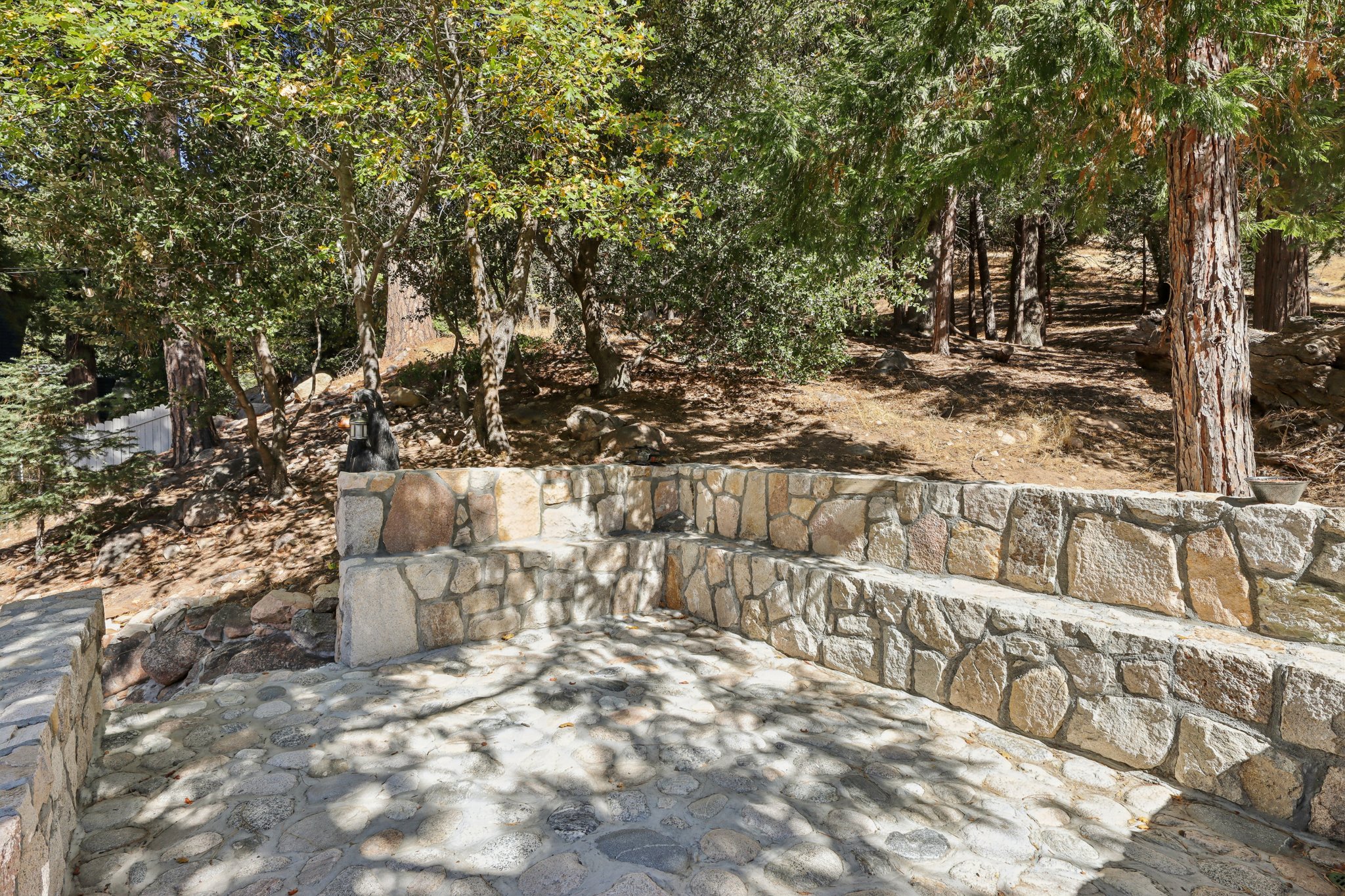 Moon Dr-S0910-043.jpg