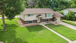  Photo 41