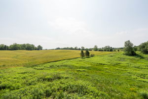  Photo 50