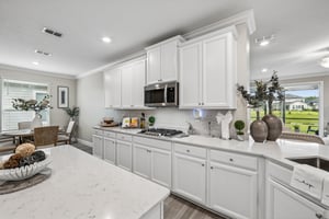 - 251 Country Fern Dr-S1807-019.jpg