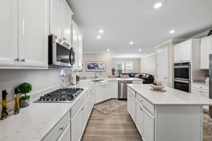 - 251 Country Fern Dr-S1807-023.jpg