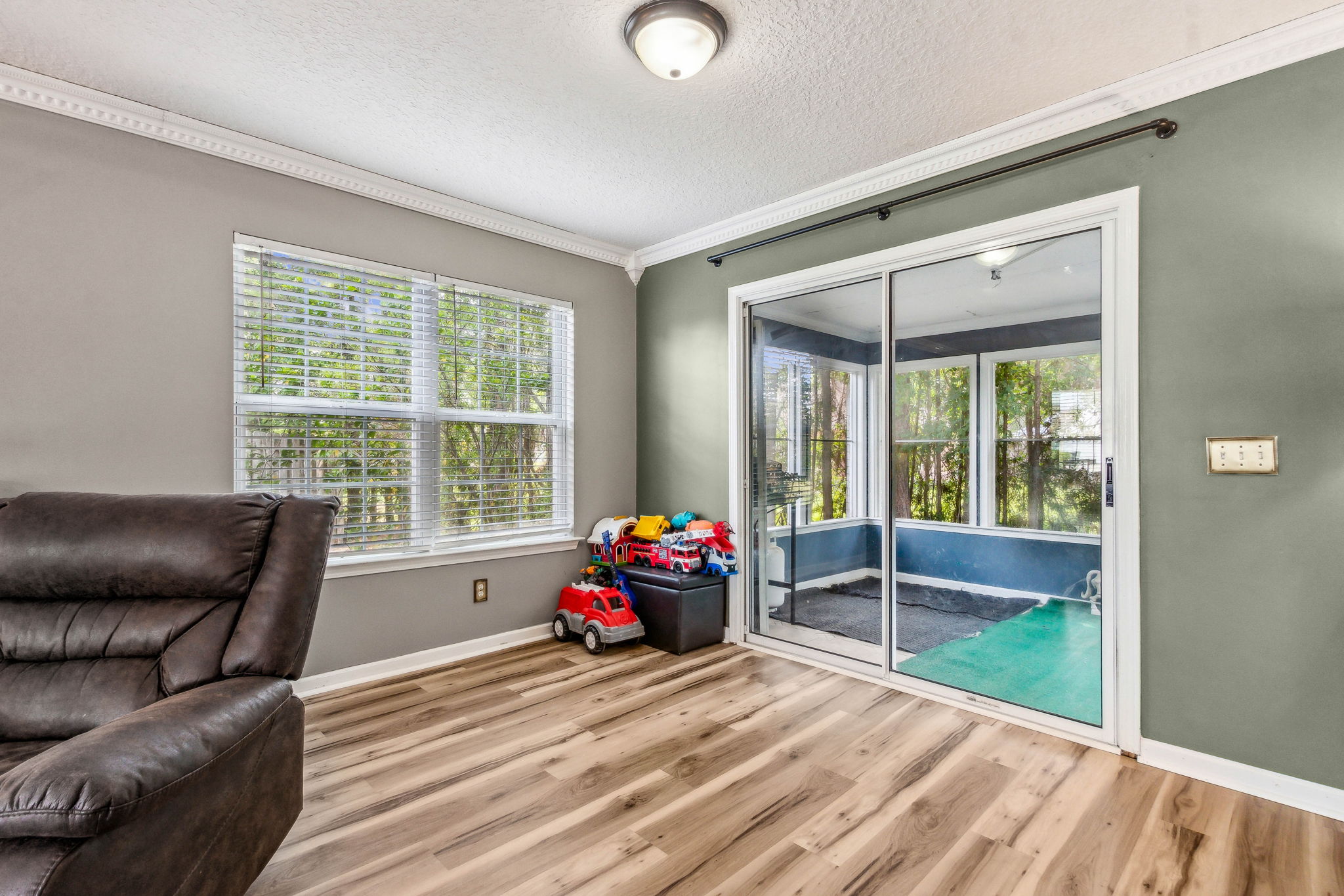 Family Room/Lanai