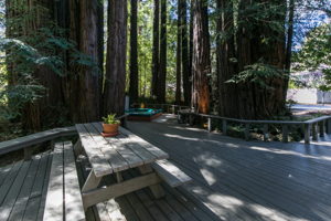 251 Sunnycroft Rd, Ben Lomond, CA 95005, USA Photo 10