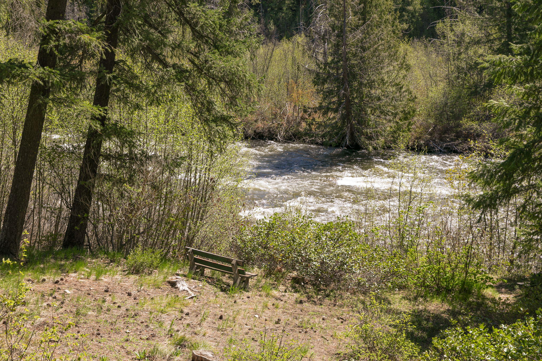  Photo 45