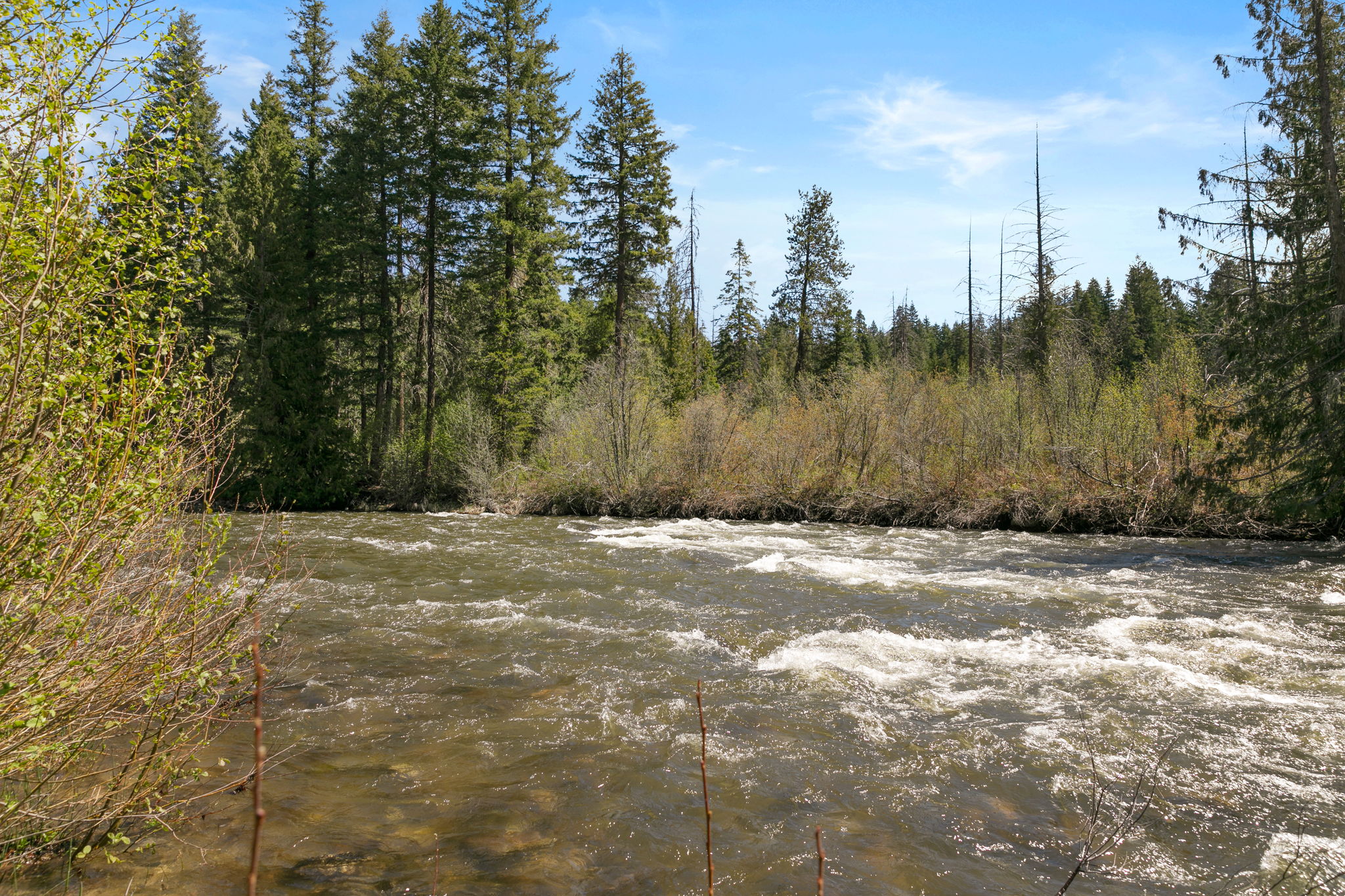  Photo 35