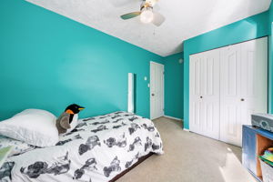  Photo 44
