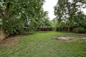  Photo 49