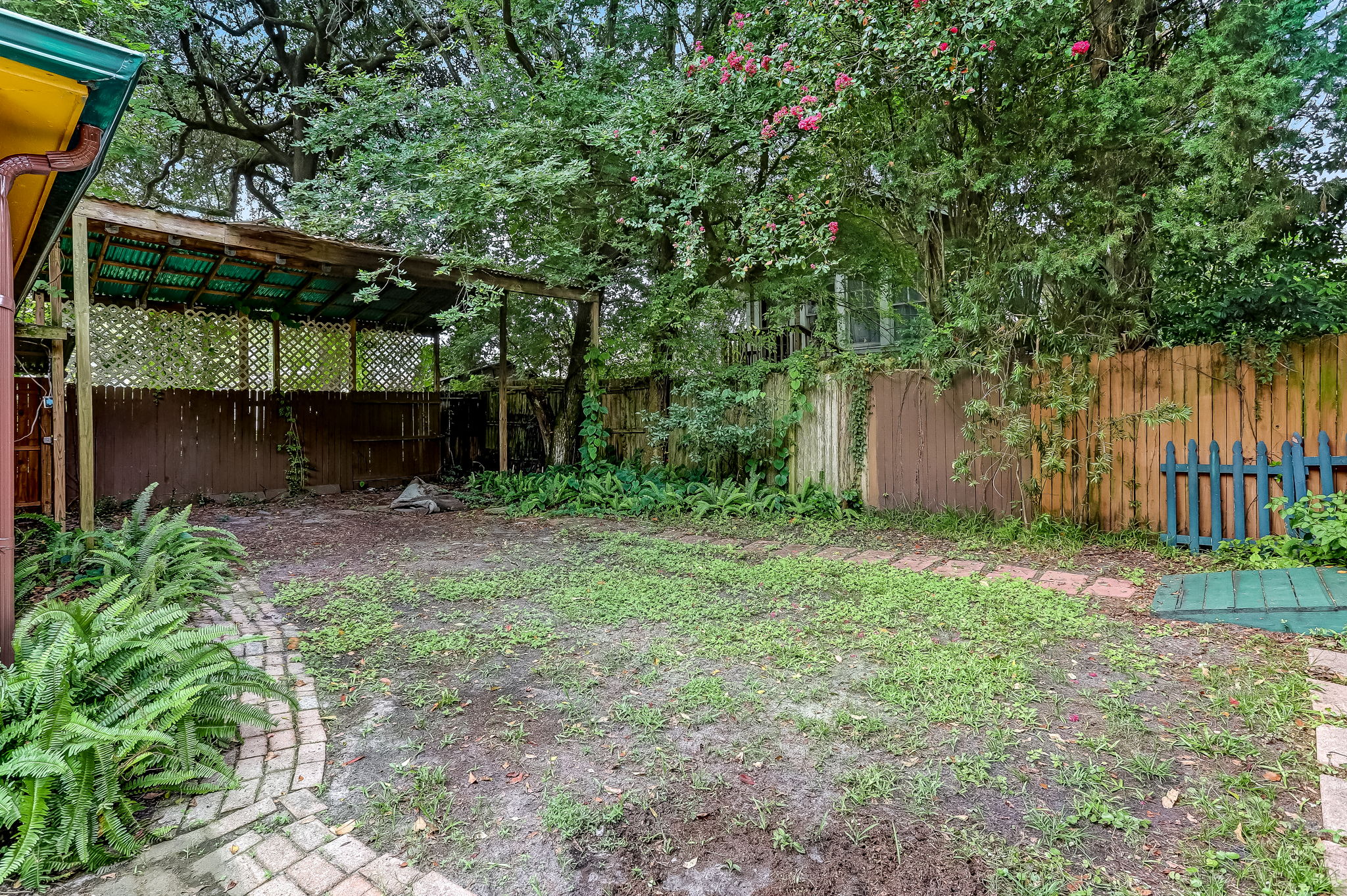 Back Yard