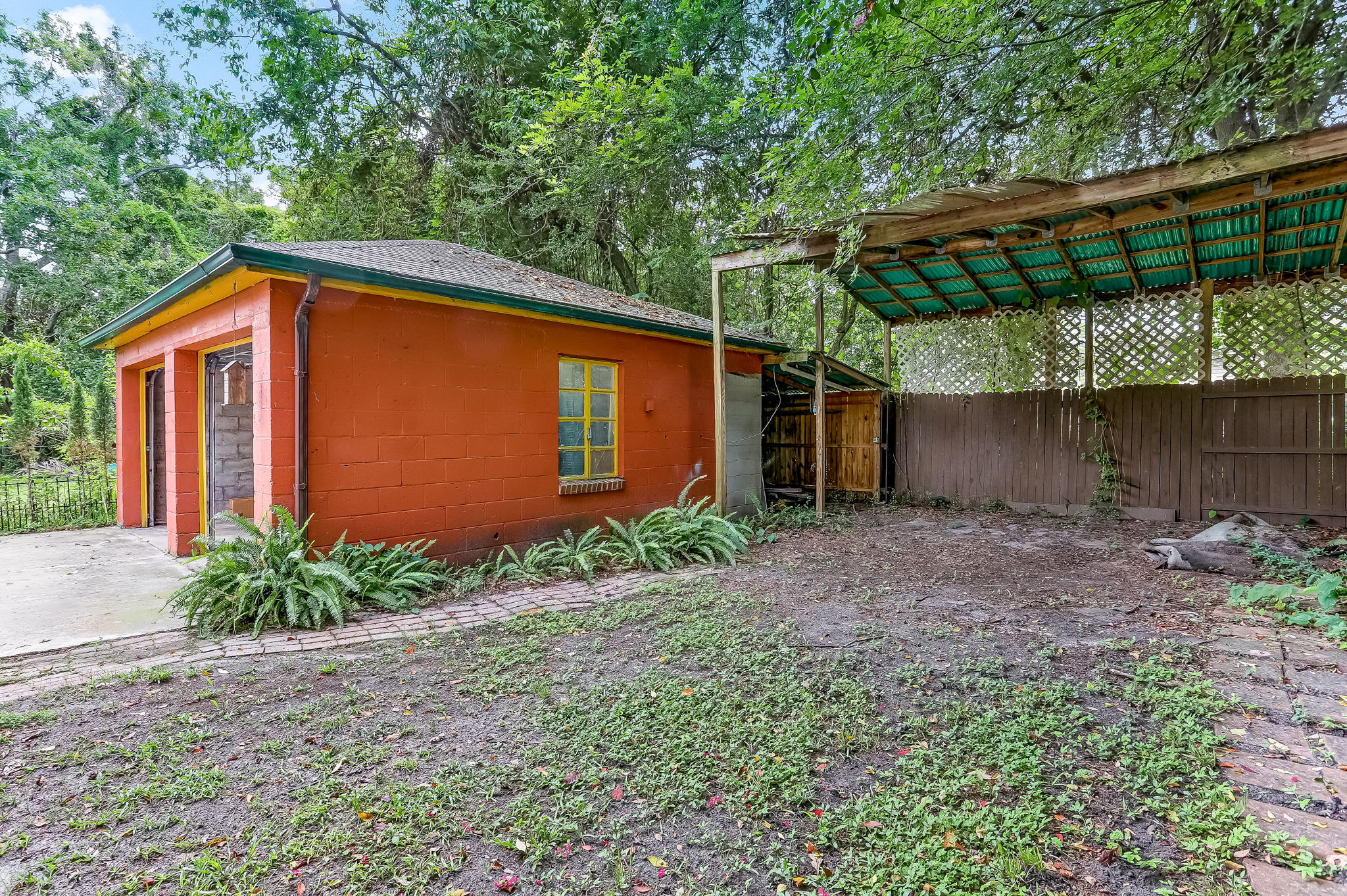 Back Yard