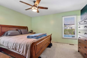 Cactus St-S0909-020.jpg