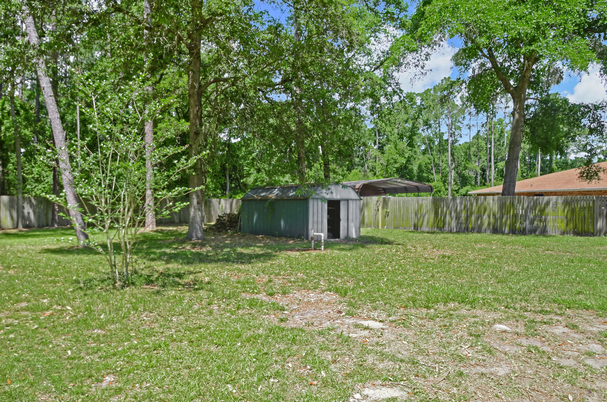 Back Yard