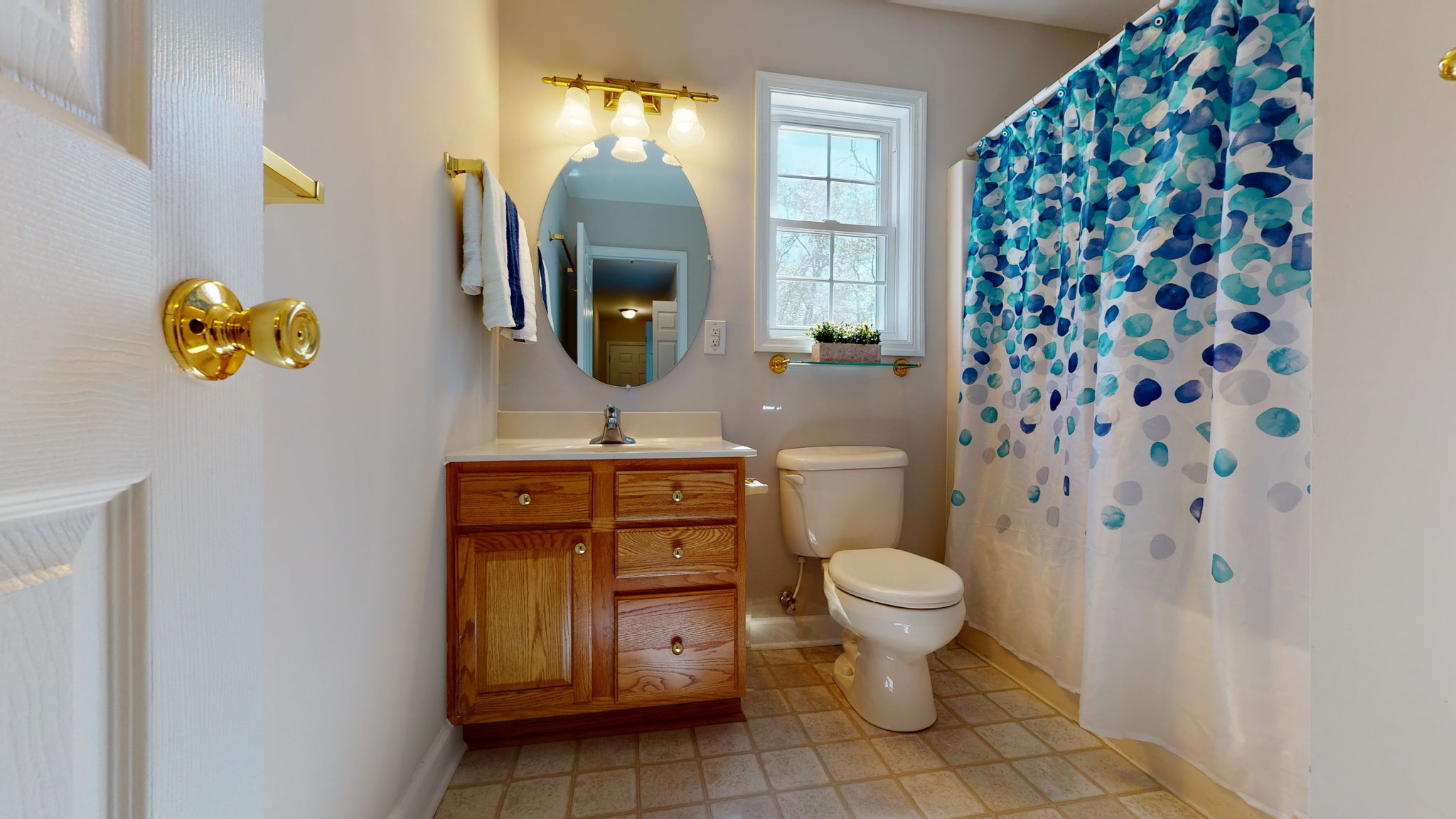 252 Shellbank Dr, Sneads Ferry, NC 28460, USA Photo 41