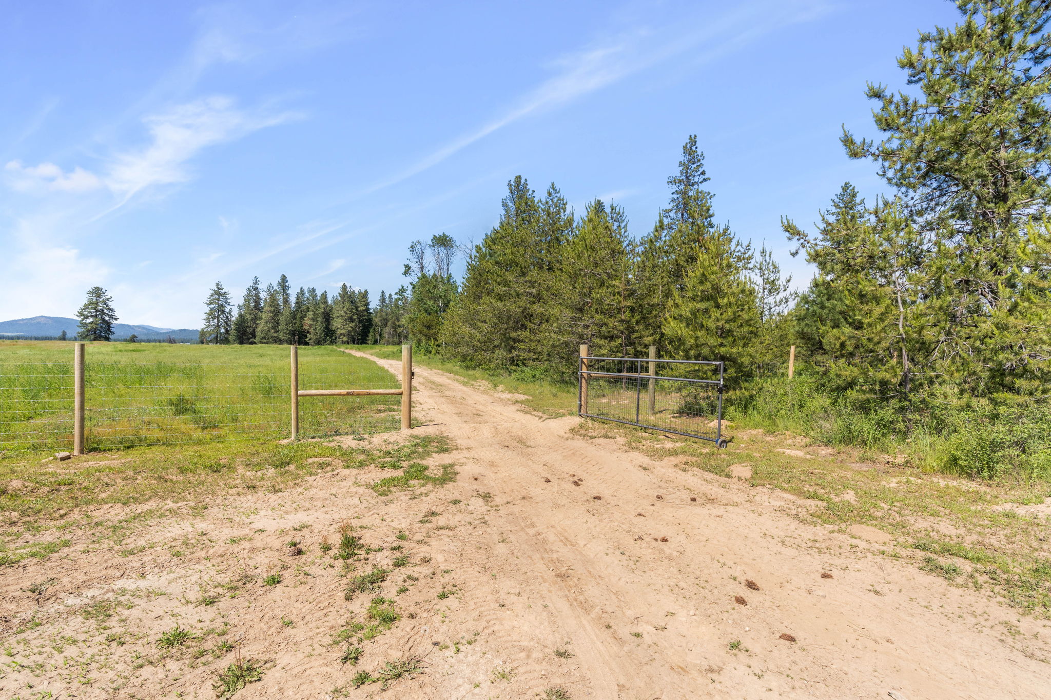  Photo 40