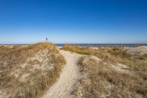 Bold-Dune-Beach-Access