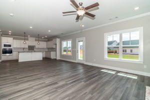 Living Room/Kitchen