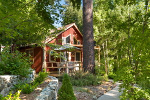  Photo 44