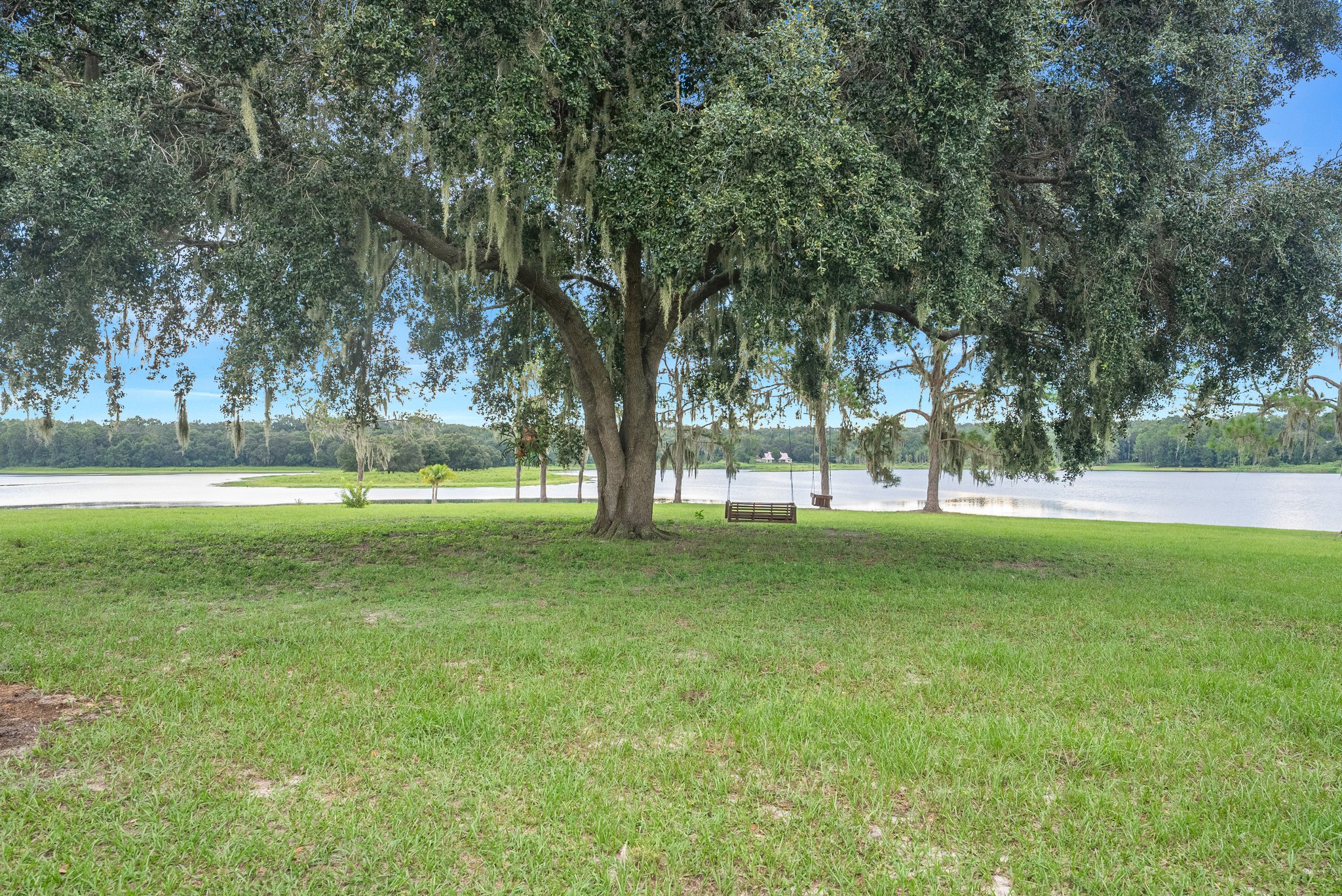 25237 Dan Brown Hill Rd, Brooksville, FL 34602, USA Photo 100