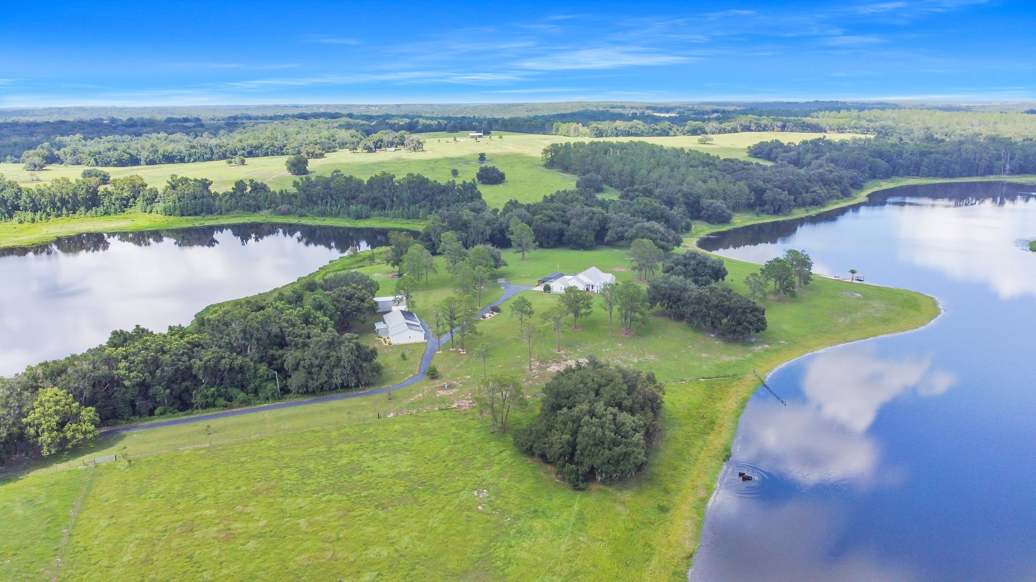 25237 Dan Brown Hill Rd, Brooksville, FL 34602, USA Photo 4