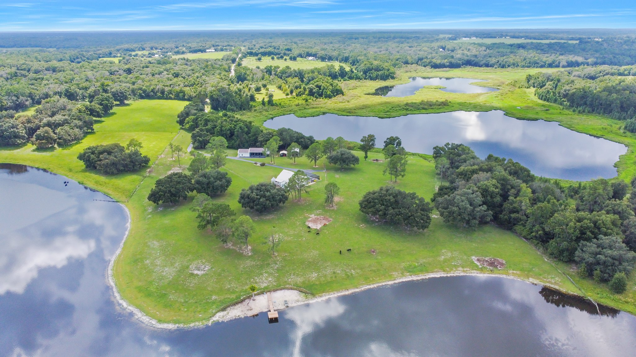 25237 Dan Brown Hill Rd, Brooksville, FL 34602, USA Photo 7