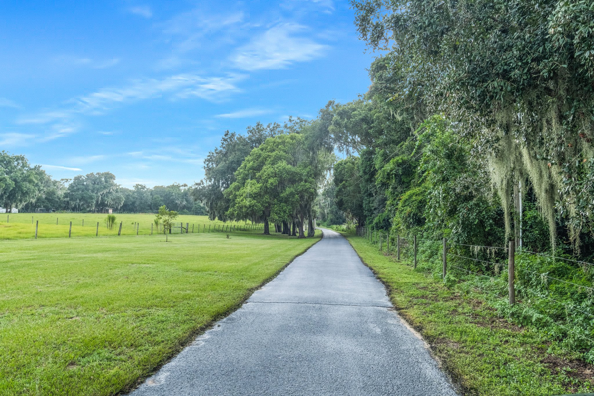 25237 Dan Brown Hill Rd, Brooksville, FL 34602, USA Photo 76