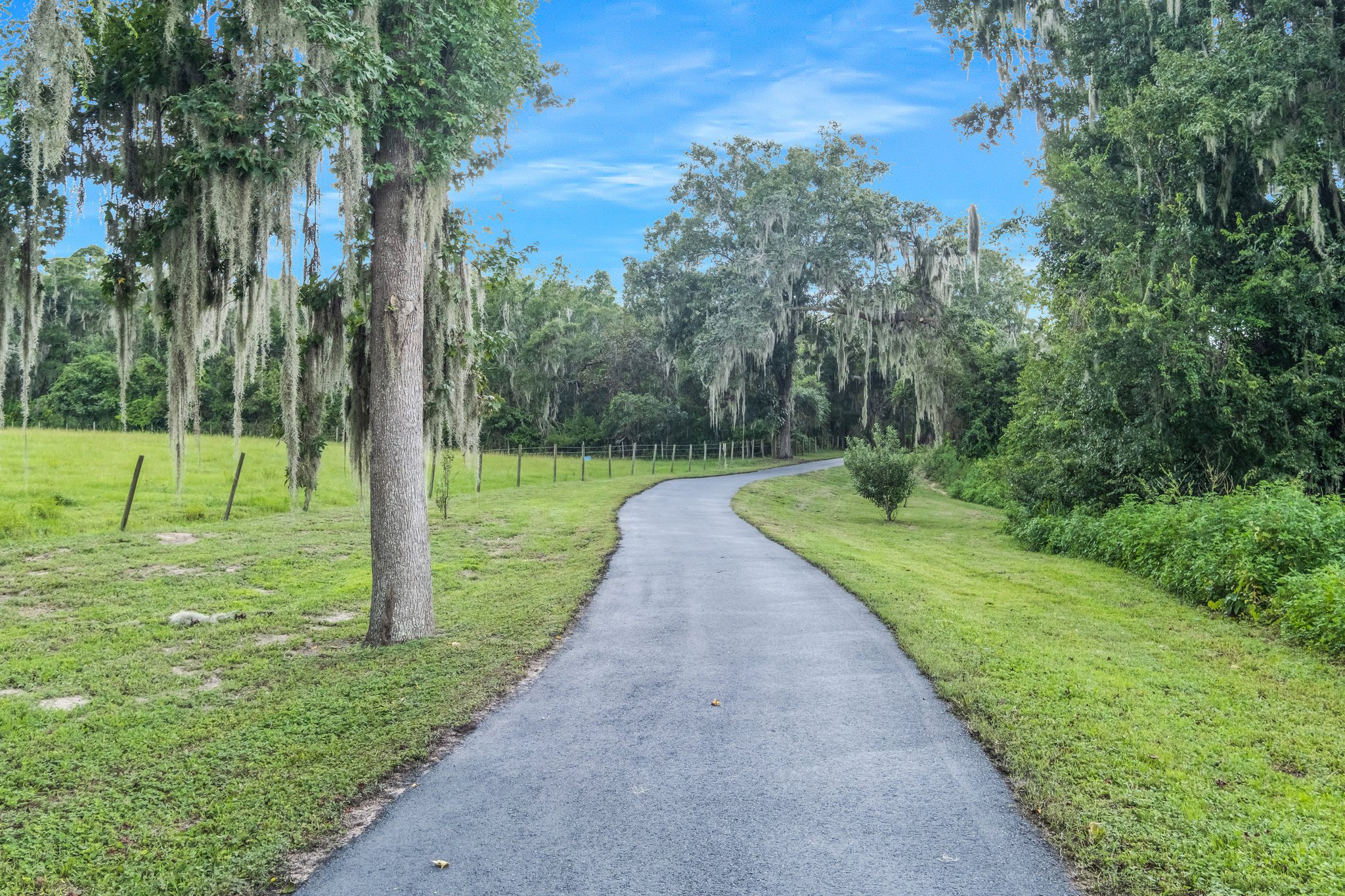 25237 Dan Brown Hill Rd, Brooksville, FL 34602, USA Photo 77