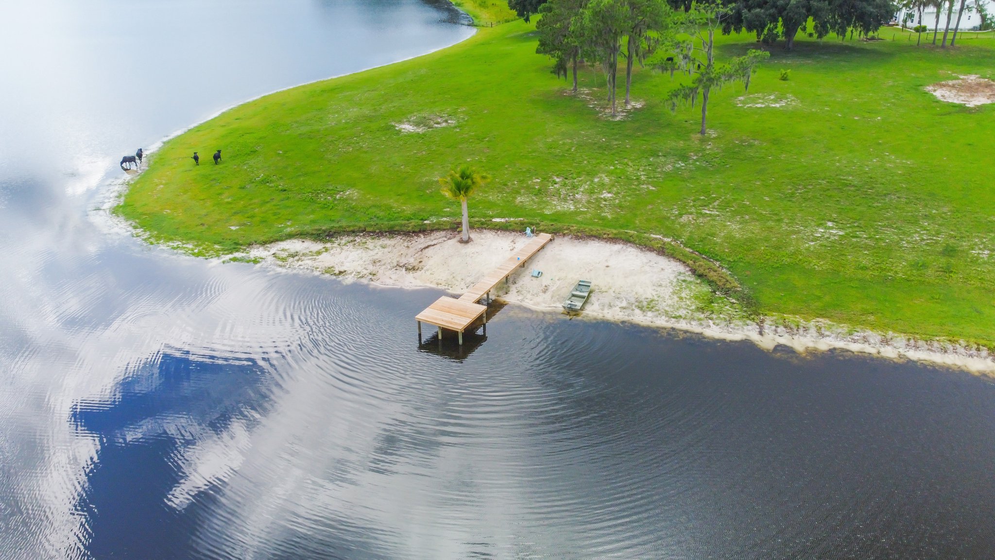 25237 Dan Brown Hill Rd, Brooksville, FL 34602, USA Photo 18