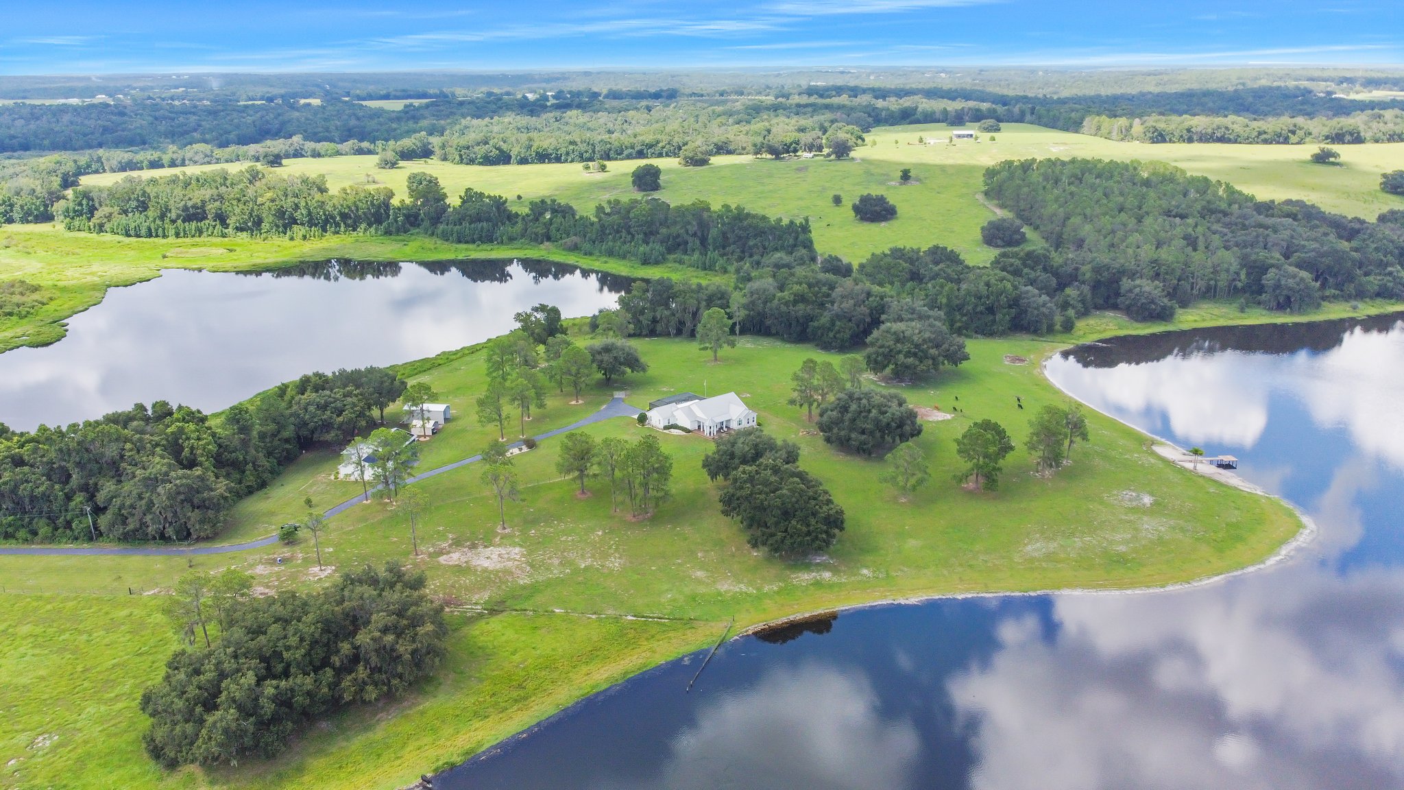25237 Dan Brown Hill Rd, Brooksville, FL 34602, USA Photo 5