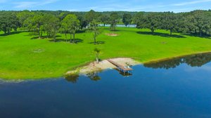 25237 Dan Brown Hill Rd, Brooksville, FL 34602, USA Photo 111