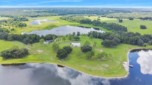 25237 Dan Brown Hill Rd, Brooksville, FL 34602, USA Photo 5