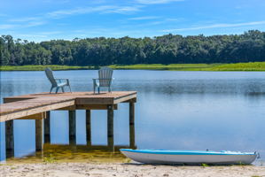 25237 Dan Brown Hill Rd, Brooksville, FL 34602, USA Photo 108