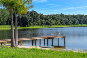 25237 Dan Brown Hill Rd, Brooksville, FL 34602, USA Photo 107