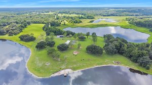 25237 Dan Brown Hill Rd, Brooksville, FL 34602, USA Photo 6