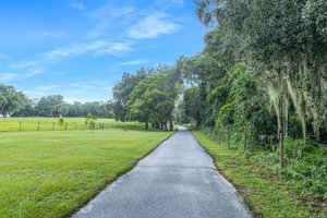 25237 Dan Brown Hill Rd, Brooksville, FL 34602, USA Photo 75