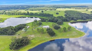 25237 Dan Brown Hill Rd, Brooksville, FL 34602, USA Photo 4