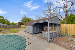 Photo 42