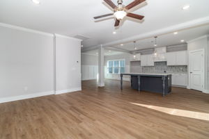 Living Room/Kitchen