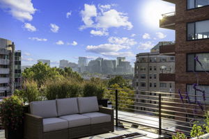 Building - Rooftop Terrace