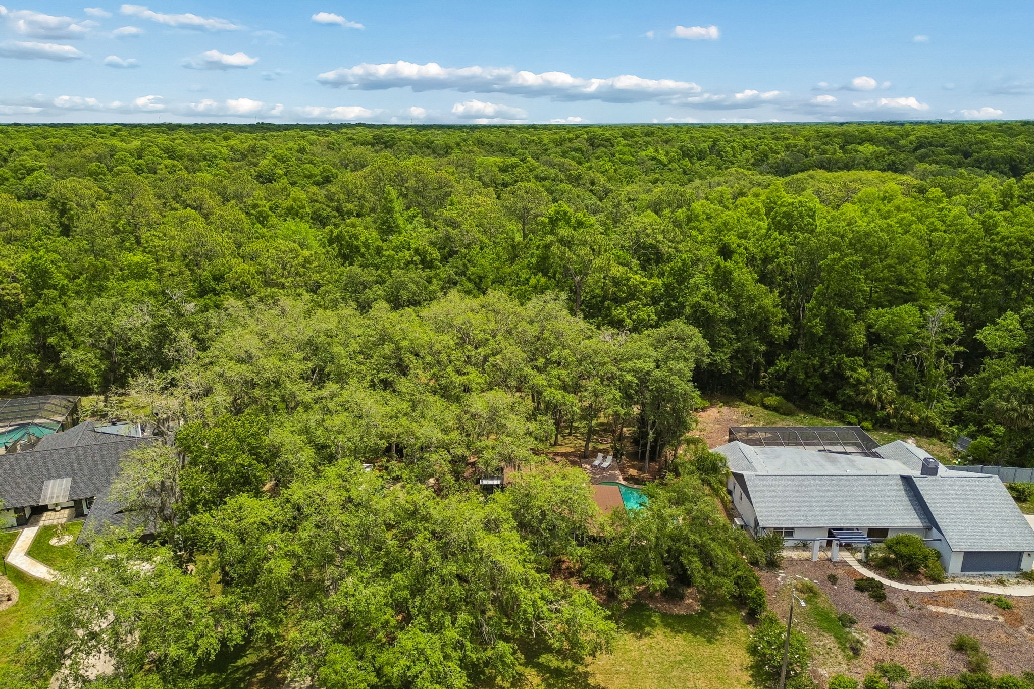 DJI_0433