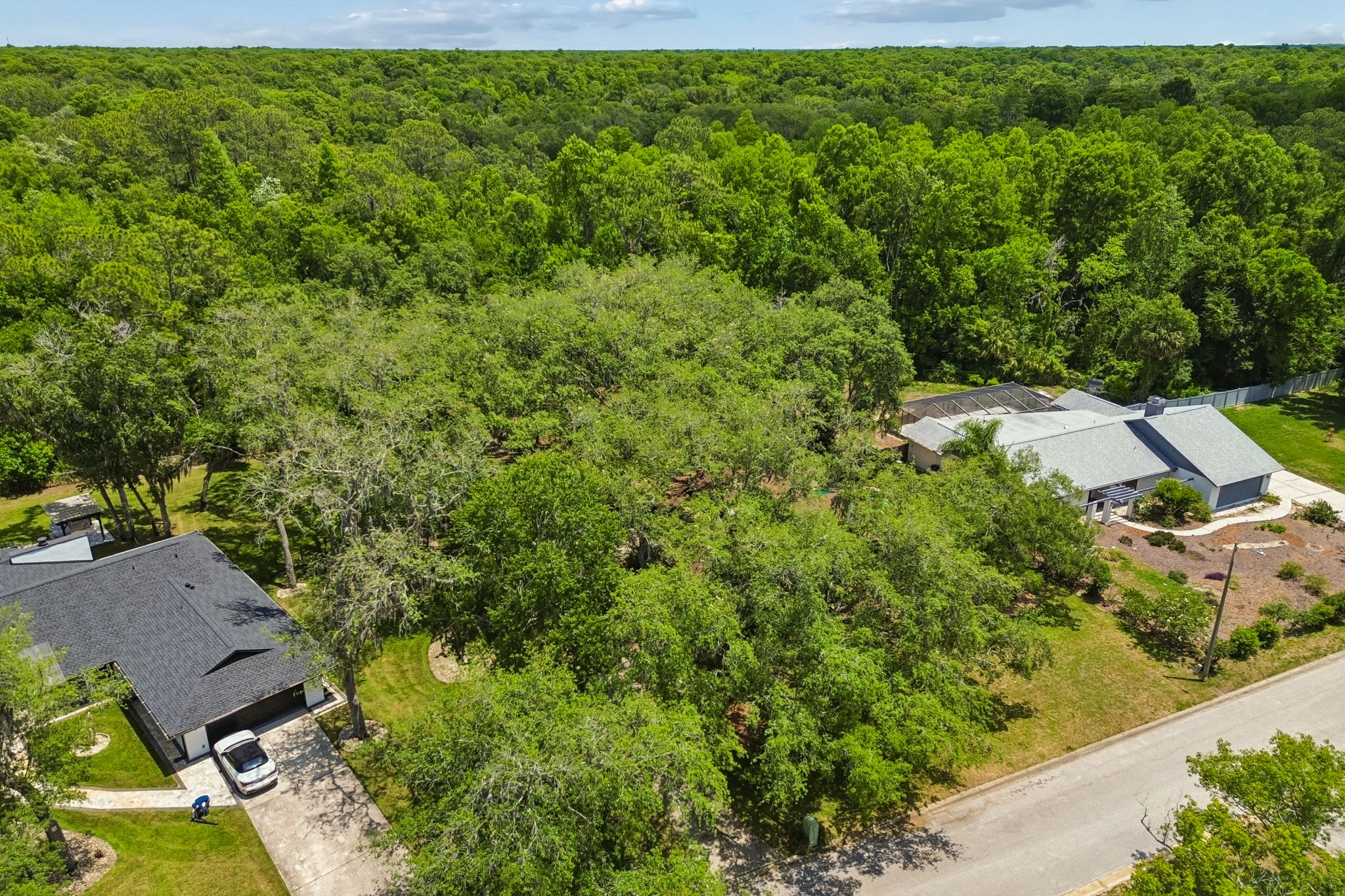 DJI_0487