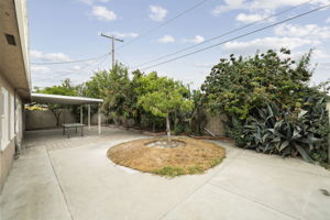  Photo 33